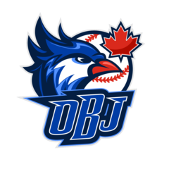 Ontario blue jays baseball club